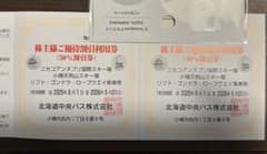 ニセコアンヌプリ国際スキー場 50%割引券 2枚　他割引券付きのサムネイル