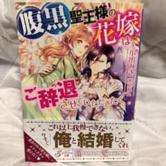 ‼️SUMIRE様専用です‼️のサムネイル