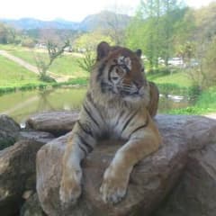 バイキンマンさん専用のサムネイル