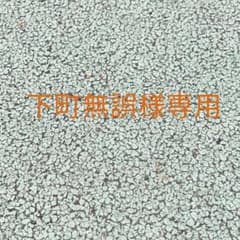 BAMBI製 クロコ型押しレザーベルト19ミリ未使用品のサムネイル