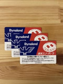Dynaland 高鷲スノーパーク　スキー場利用券 2024-2025のサムネイル