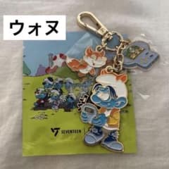 即日発送 SEVENTEEN セブチ スマーフ キーホルダー 5個セット SEVENTEEN セブチ スマーフ キーリング ウォヌ - メルカリ