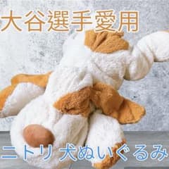 大谷翔平 犬ぬいぐるみ ニトリぶち犬タロー抱き枕 - メルカリ