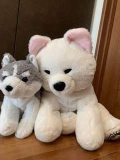 ぬいぐるみ　くったり秋田犬　シベリアンハスキーのサムネイル
