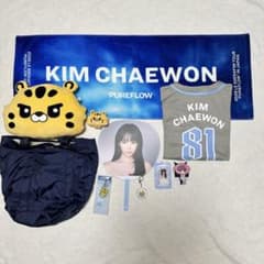 LE SSERAFIM チェウォン 公式グッズ 10点セット LE SSERAFIM チェウォン 公式グッズ 10点セット - メルカリ