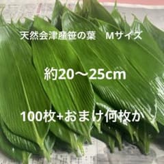 天然会津産笹の葉 新葉100枚+おまけのサムネイル