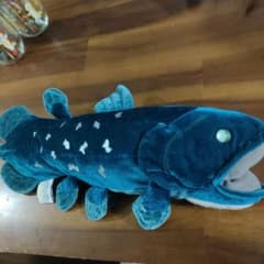 沼津深海水族館 シーラカンス ぬいぐるみ LLサイズ シーラカンス ぬいぐるみ LLサイズ 沼津港深海水族館 タグ付き