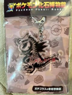 ポケモン化石博物館　ガチゴラス　アクリルキーホルダーのサムネイル