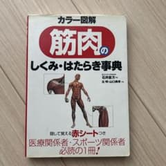 筋肉のしくみ・はたらき事典のサムネイル