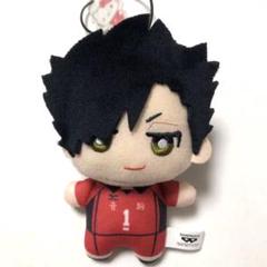 黒尾鉄朗　ハイキュー‼︎ ×サンリオキャラクターズ　ちみっともぬい　ぬいぐるみ