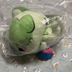 ピカピカボックス　ニャオハ　ぬいぐるみ　タグ付き