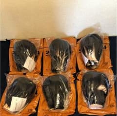 国家試験用 カットウィッグ6体のサムネイル