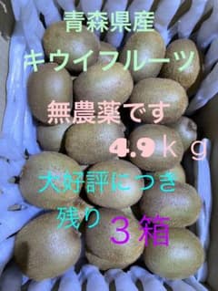 キウイ 中サイズ 茶色 毛羽立ち果実 4.9㎏　グリーンキウイのサムネイル