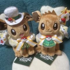 ポケパーク カントー イーブイ ぬいぐるみ 2体セット - メルカリ
