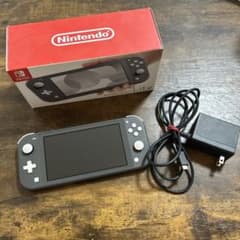 Nintendo Switch Lite 本体 グレー　　　　充電器付きのサムネイル