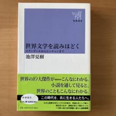 世界文学を読みほどく : スタンダールからピンチョンまでのサムネイル