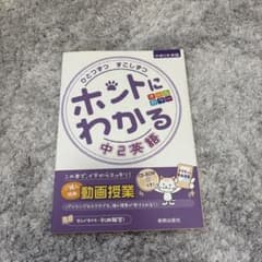 ひとつずつすこしずつホントにわかる 中2英語のサムネイル