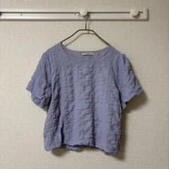 Adaエーディーエー ぽこぽこシャーリング半袖トップス ショート丈のサムネイル