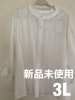 りんごす♡様専用 ブラウス 3Lのサムネイル