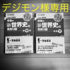 荒巻の(新)世界史の見取り図 : 大学受験世界史 中巻・下巻のサムネイル