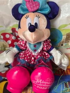 【即日発送可】ミニーのファンダーランド ぬいぐるみ 2026 ミニーのファンダーランドぬいぐるみ2026新品タグ付き - メルカリ