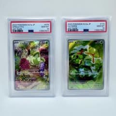 2023 ポケモンカード ニャオハ　キャタピー　PSA10 AR まとめ売り