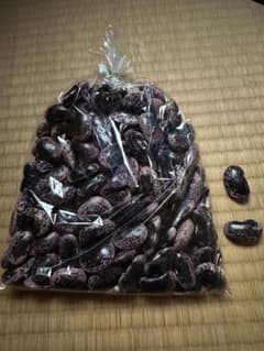 紫花豆　特A大　22年度　500g×2のサムネイル