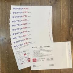 ゆうパケットポストmini 専用封筒 10枚