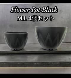 植木鉢 4個セット M.Lサイズ 各2個 大 アガベ グラキリス - メルカリ