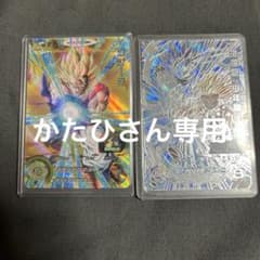 かたひ様 リクエスト 2点 まとめ商品のサムネイル