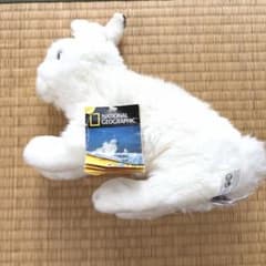 新品タグ付き National Geographic ウサギ ぬいぐるみ - メルカリ