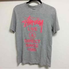 値下げしました！ stussy 半Tシャツのサムネイル