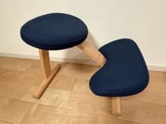 正規品】バランスラボ バランスイージー ネイビー（専用カバー付
