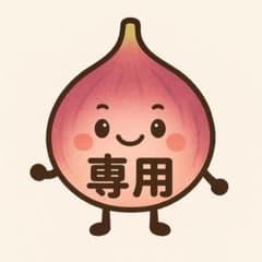 マルセイユブルー様専用 根出し苗 挿し木苗イチジク いちじく 苗