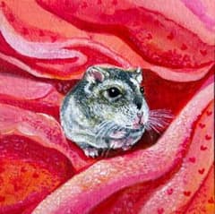 ジャンガリアンハムスター　手描きイラストのサムネイル