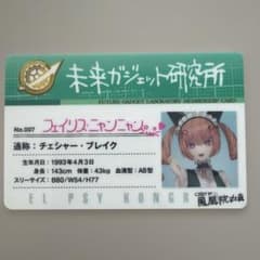シュタインズゲート　ファイナルミッション　ラボメンカード　フェイリス