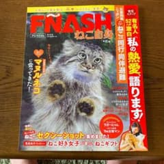 ねこ自身4匹め FÑASHのサムネイル