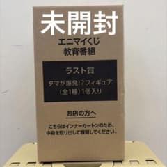 エニマイくじ 教育番組 フィギュア ラストワン賞 - メルカリ