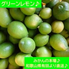 【農家直送】グリーンレモン 正味重量4kg 和歌山県有田より 防腐剤不使用