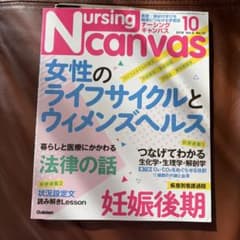 Nursing Canvas 妊娠後期　女性のライフサイクルのサムネイル