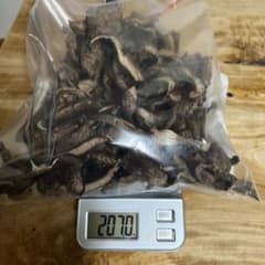 香茸　乾燥品　600g以上のサムネイル