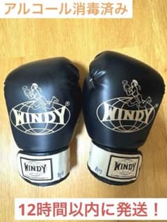 WINDY ボクシンググローブ 8oz ブラック WINDY ボクシンググローブ ブラック 8オンス - メルカリ