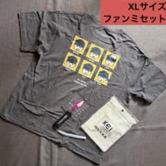 田中圭 ファンミセット Tシャツ（XL）、ペンライト、サコッシュなど