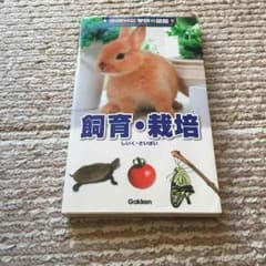 学研の図鑑ポケット版 飼育・栽培⭐️のサムネイル