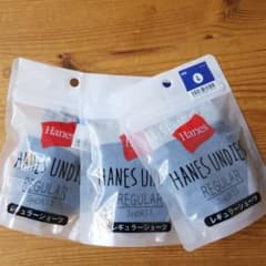 お値下げヘインズレギュラーショーツ3点+サニタリーショーツ1点　Lサイズのサムネイル