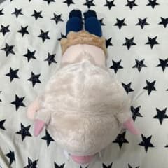 귀멸의 칼날 하시비라 이노스케 잠자는 봉제 인형