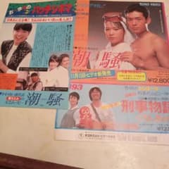 堀ちえみ／潮騒 撮影日記 新品 店頭告知ポスター80年代当時物鶴見辰吾 アイドル 2026年最新】潮騒 堀ちえみの人気アイテム - メルカリ