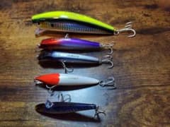 シーバス引退します①(^_^)①のサムネイル