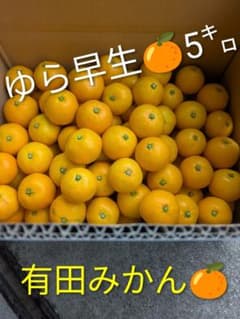 美味しい有田みかん　ゆら早生5㌔のサムネイル