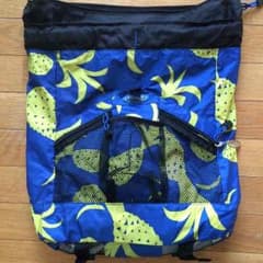 GAPのサムネイル